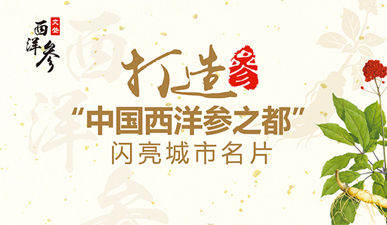 文登西洋參產(chǎn)業(yè)：打造“中國西洋參之都”閃亮城市名片！